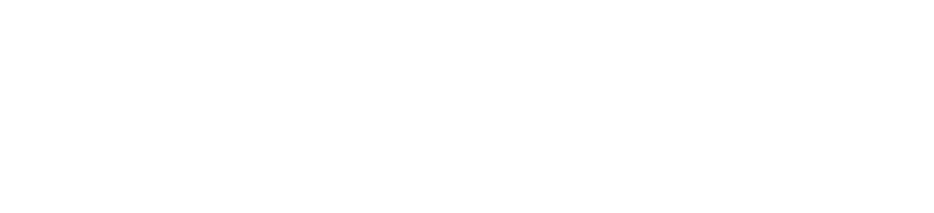 Total Virtuality Logo